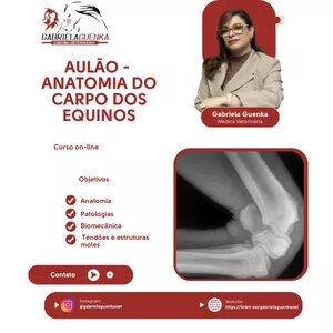 Imagem do curso AULÃO - ANATOMIA DO CARPO DOS EQUINOS  -  Médica Veterinária Dra. Gabriela Guenka