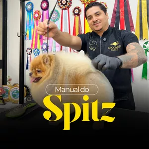 Imagem do curso Manual do Spitz