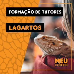 Imagem de capa para o Curso online Lagartos - Curso de Formação de Tutores