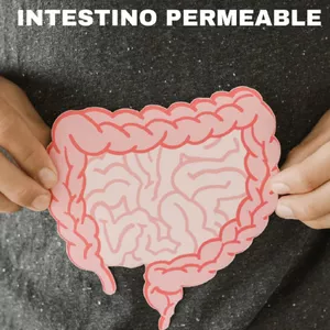 Imagen de portada para Ebook Guía "Sana tu intestino en 8 semanas"