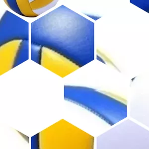 Imagem de capa para o Curso online PLANILHA DE ESTATÍSTICAS PARA O VOLEIBOL