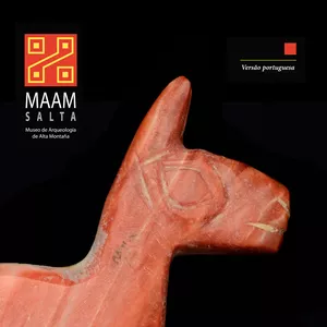 Imagem de capa para o Curso online Guia MAAM (em português)