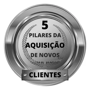 Imagem de capa para o Curso online OS 5 PILARES PARA CONSTRUIR O PLANO PERFEITO DE AQUISIÇÃO DE NOVOS CLIENTES