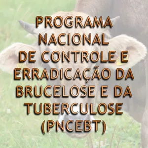 Imagem do curso BRUCELOSE E TUBERCULOSE ANIMAL: Programa Nacional de Controle e Erradicação