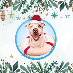 Imagen de portada para Curso online Salvavidas Animal: La Navidad y Los perros 