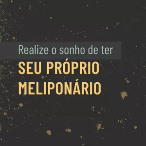 Imagem de capa para o Curso online Projeto de instalação de Meliponário