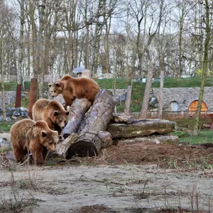Imagem de capa para o Ebook Aventura em Cores: Livro de Desenho para Toda a Família