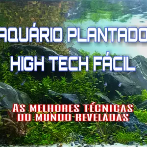 Guia completo do Aquário Plantado em vídeo 