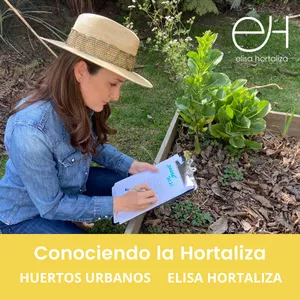 Imagen de portada para Curso online Master Class Conociendo La Hortaliza