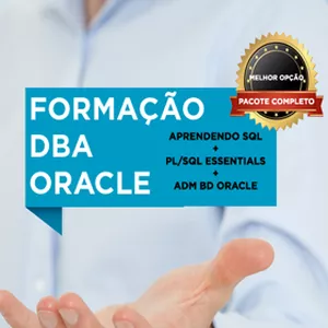 Imagem de capa para o Curso online Formação DBA Oracle