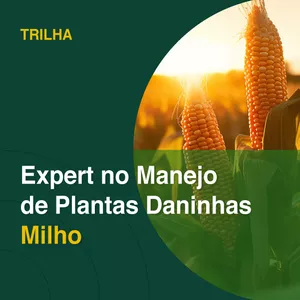 Imagem de capa para o Curso online Trilha Expert no manejo de plantas daninhas milho