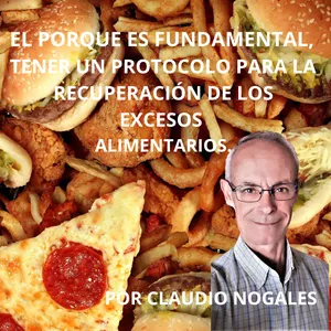 Imagen de portada para Ebook Protocolo para una rápida recuperación de los excesos alimentarios  