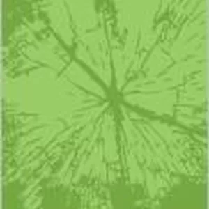 Imagem de capa para o Ebook Inocência