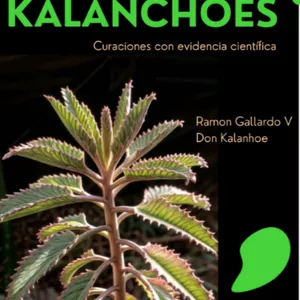 Imagen de portada para Ebook KALANCHOES Curación con evidencia científica