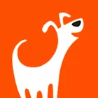 Foto do Criador FitDog Adestramento