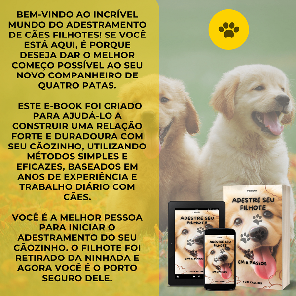 Adestre seu Cão Filhote em 6 passos simples — imagem 2