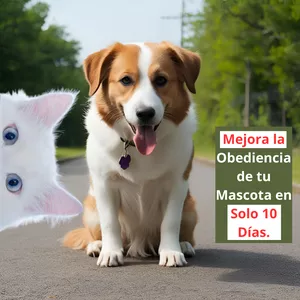 Imagen de portada para Ebook Método Eficaz para Mejorar la Obediencia de tu Mascota en Solo 10 Días
