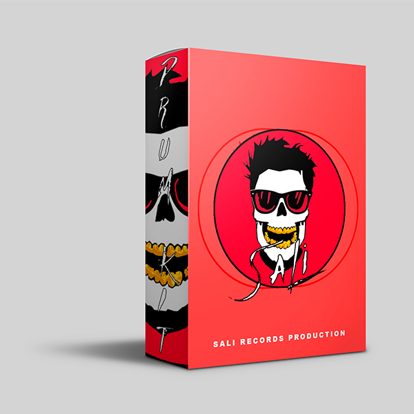 Imagem do curso Drum Kit Sali Records - Trap