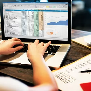 Imagem do curso Excel Profissional  | Com Questões de Concurso e MOS