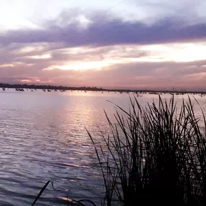 Imagen de portada para Curso online Super musica 