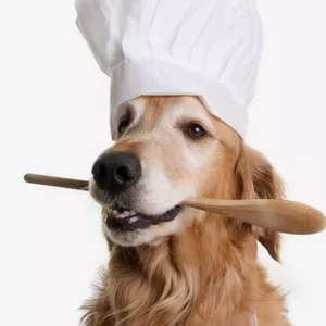 Imagem de capa para o Curso online Excel de Formulação de Dietas para Cães e Gatos
