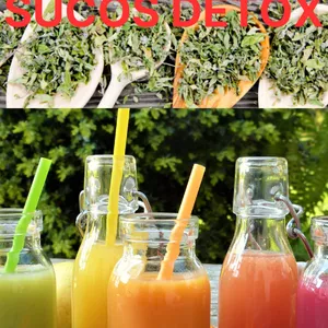 Imagem de capa para o Ebook As melhores receitas de suco detox!!