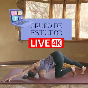 Imagen de portada para Curso online Grupo de Estudio 🧘🏽