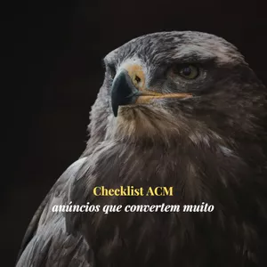 Imagem de capa para o Ebook Checklist ACM - Anúncios que convertem muito