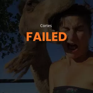 Imagem de capa para o Curso online Failed