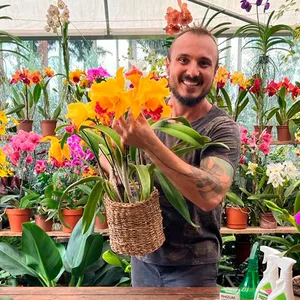 Imagem de capa para o Curso online Curso de Orquídeas com Murilo Soares