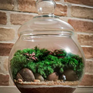 Imagem de capa para o Curso online Workshop Terrários e Mini Jardins - Gadugi Terrários & Cia