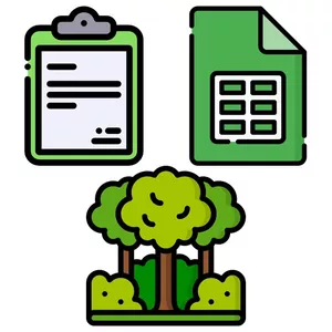 Imagem de capa para o Curso online Inventário Florestal: Planilhas Google