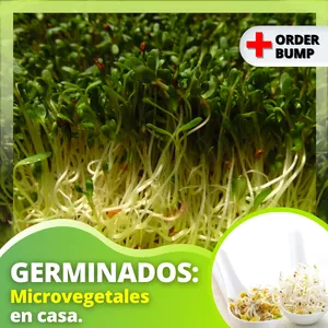 Imagen de portada para Curso online Germinados: Microvegetales en casa.