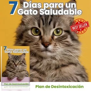 Imagen de portada para Curso online 7 Dias para un gato saludable (plan detox)