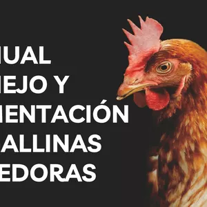 Imagen de portada para Ebook Pdf Ebook🐔 LA GUÍA DEFINITIVA De Crianza y cuidado de Gallinas ponedoras.