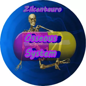 Cover image for Online course Osseous System By Zilcentauro