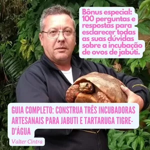 Imagem de capa para o Ebook GUIA COMPLETO: CONSTRUA TRÊS INCUBADORAS ARTESANAIS PARA JABUTI E TARTARUGA TIGRE-D'ÁGUA - APRENDA A CUIDAR DE FILHOTES COM SUCESSO!