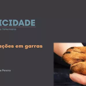 Imagem de capa para o Curso online Alterações em garras