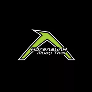 Imagem de capa para o Curso online Método Personal Fight - Formação profissional em manopla e luva de foco