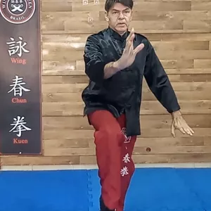 Imagem de capa para o Curso online Tai Chi Chuan: 8 passos para Harmonizar Tempo, Espaço e Energia