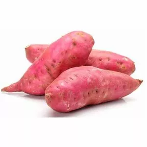 Imagem de capa para o Ebook Dieta Da Batata Doce