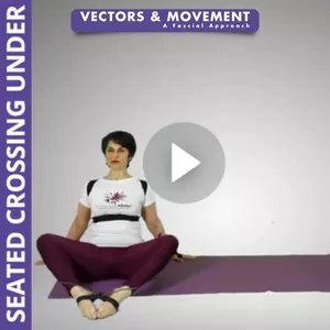 Cover image for Online course 04 Educational Video - Spiral Body Vector
