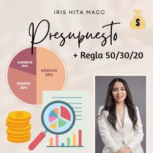 Imagen de portada para Ebook Presupuesto 2025 - Iris Hita Macc