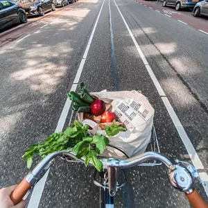 Imagem de capa para o Curso online Transforme o Mundo: Seu Guia para Ações Ambientais Positivas