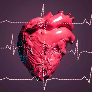 Imagem do curso 30 Reels Narrados e Editáveis para Cardiologistas + Bônus 
