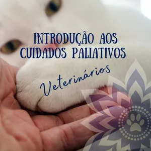 Imagem de capa para o Curso online Introdução aos Cuidados Paliativos Veterinários 