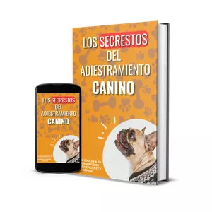 Imagen de portada para Ebook Los Secrestos Del Adiestramiento Canino