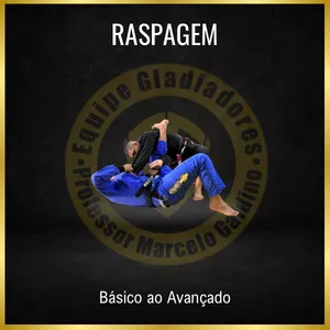 Imagem de capa para o Curso online Curso de Raspagem