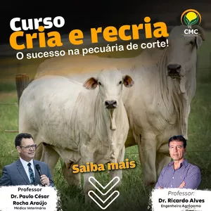 Imagem de Cria e Recria de Bovinos de Corte criado por Centro Multiplicador de Capacitação na hotmart