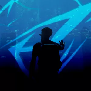 Imagem de capa para o Curso online NEWVISUALS 